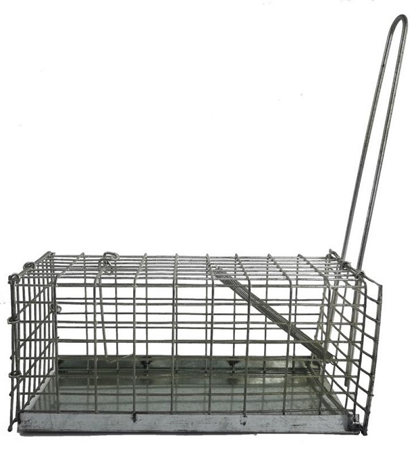 Thumbnail product image - 0